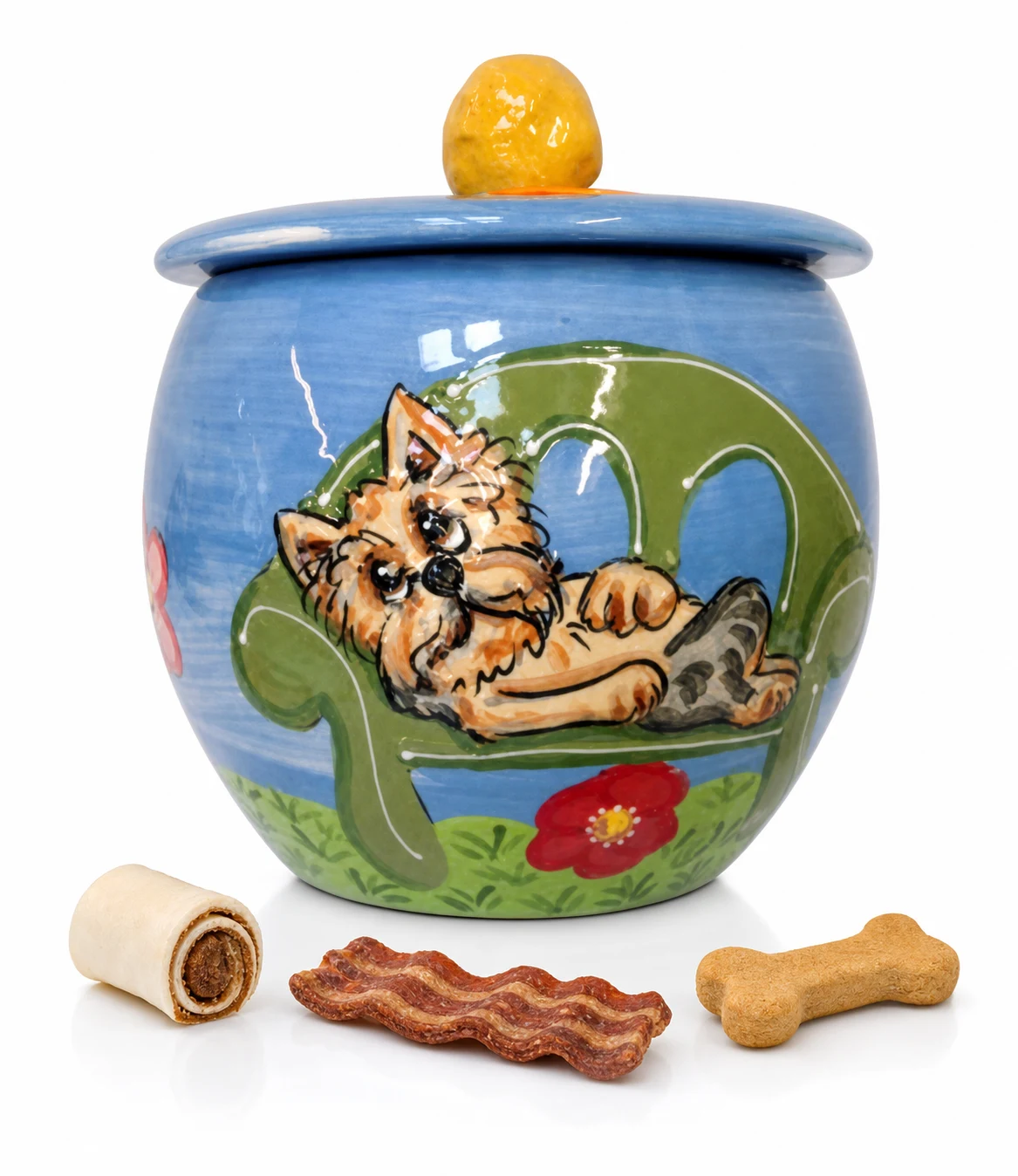 Yorkie Terrier